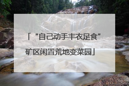 “自己动手丰衣足食”矿区闲置荒地变菜园